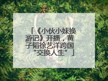 《小伙小妹换游记》开播，黄子韬徐艺洋跨国“交换人生”