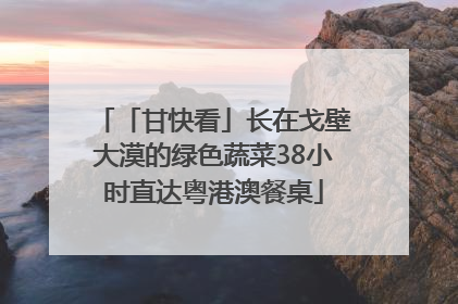 「甘快看」长在戈壁大漠的绿色蔬菜38小时直达粤港澳餐桌