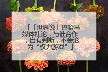 「世界说」巴哈马媒体社论：与谁合作，自有判断，不会沦为“权力游戏”