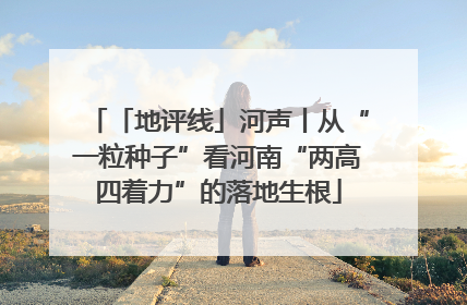「地评线」河声丨从“一粒种子”看河南“两高四着力”的落地生根