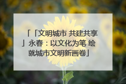「文明城市 共建共享」永春：以文化为笔 绘就城市文明新画卷