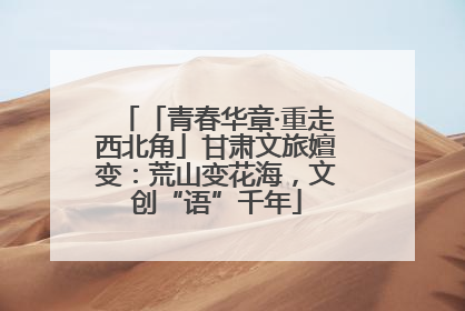 「青春华章·重走西北角」甘肃文旅嬗变：荒山变花海，文创“语”千年