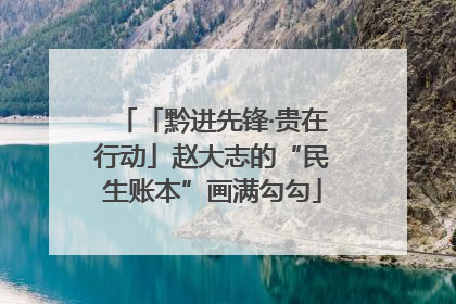 「黔进先锋·贵在行动」赵大志的“民生账本”画满勾勾