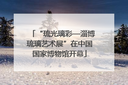 “琉光璃彩—淄博琉璃艺术展”在中国国家博物馆开幕
