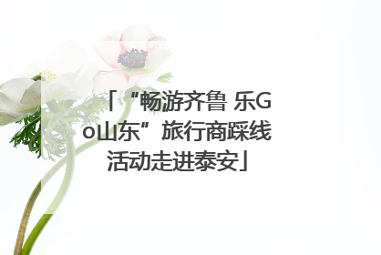 “畅游齐鲁 乐Go山东”旅行商踩线活动走进泰安