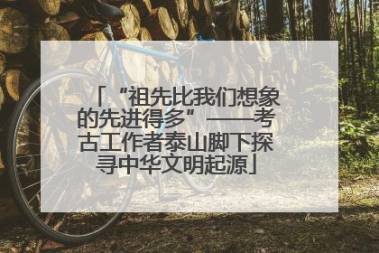“祖先比我们想象的先进得多”——考古工作者泰山脚下探寻中华文明起源