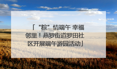 “粽”情端午 幸福邻里！燕罗街道罗田社区开展端午游园活动