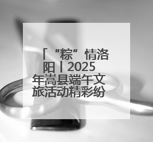 “粽”情洛阳丨2025年嵩县端午文旅活动精彩纷呈