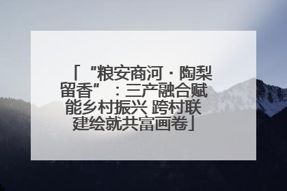 “粮安商河・陶梨留香”：三产融合赋能乡村振兴 跨村联建绘就共富画卷