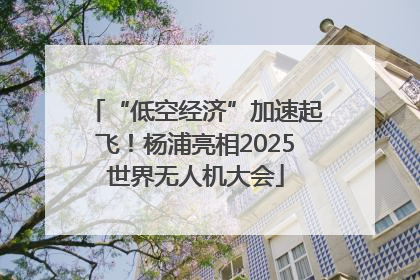 “低空经济”加速起飞！杨浦亮相2025世界无人机大会