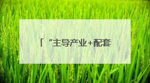 “主导产业+配套产业+衍生产业” 镇域经济创新发展释放强劲发展动能
