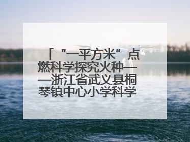 “一平方米”点燃科学探究火种——浙江省武义县桐琴镇中心小学科学教育的新探索
