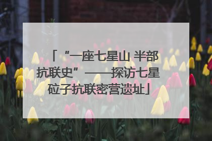 “一座七星山 半部抗联史”——探访七星砬子抗联密营遗址