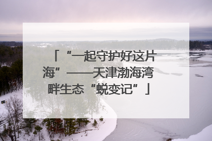 “一起守护好这片海”——天津渤海湾畔生态“蜕变记”