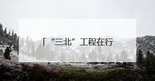 “三北”工程在行动·北京篇：大写意到细工笔，夯实花园城市生态基底