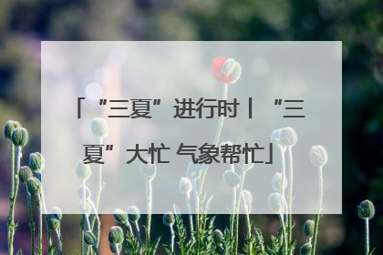 “三夏”进行时丨“三夏”大忙 气象帮忙