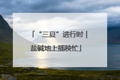 “三夏”进行时｜盐碱地上插秧忙