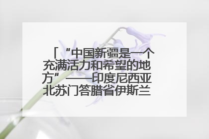“中国新疆是一个充满活力和希望的地方”——印度尼西亚北苏门答腊省伊斯兰教代表团参访新疆