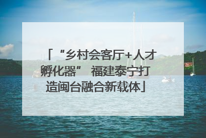 “乡村会客厅+人才孵化器” 福建泰宁打造闽台融合新载体