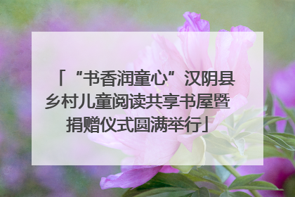 “书香润童心”汉阴县乡村儿童阅读共享书屋暨捐赠仪式圆满举行