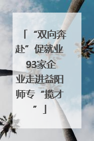 “双向奔赴”促就业 93家企业走进益阳师专“揽才”