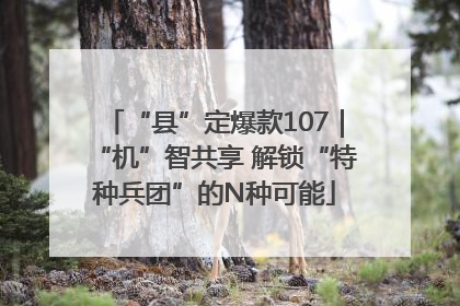 “县”定爆款107｜“机”智共享 解锁“特种兵团”的N种可能