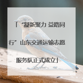 “凝新聚力 益路同行”山东交通运输志愿服务队正式成立