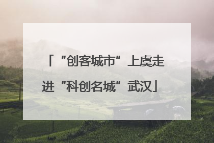 “创客城市”上虞走进“科创名城”武汉