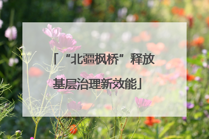 “北疆枫桥”释放基层治理新效能
