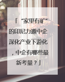 “家里有矿”的印尼力邀中企深化产业下游化，中企有哪些最新考量？