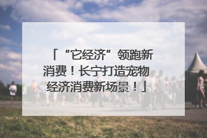 “它经济”领跑新消费！长宁打造宠物经济消费新场景！