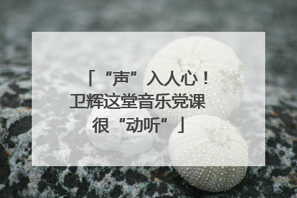 “声”入人心！卫辉这堂音乐党课很“动听”