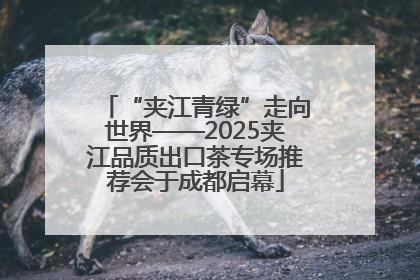 “夹江青绿”走向世界——2025夹江品质出口茶专场推荐会于成都启幕