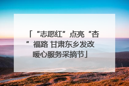 “志愿红”点亮“杏”福路 甘肃东乡发改暖心服务采摘节
