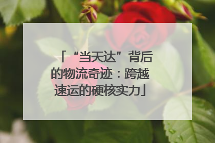 “当天达”背后的物流奇迹：跨越速运的硬核实力