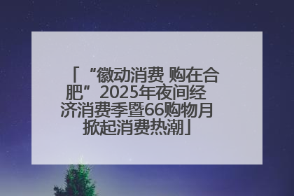 “徽动消费 购在合肥”2025年夜间经济消费季暨66购物月掀起消费热潮