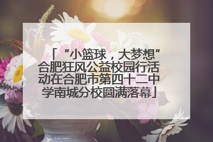 “小篮球，大梦想”合肥狂风公益校园行活动在合肥市第四十二中学南城分校圆满落幕
