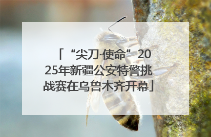 “尖刀·使命”2025年新疆公安特警挑战赛在乌鲁木齐开幕