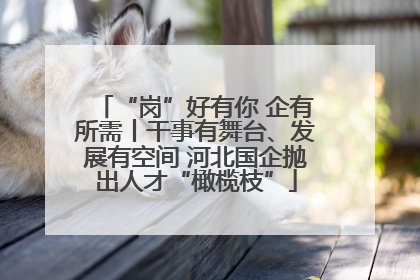 “岗”好有你 企有所需丨干事有舞台、发展有空间 河北国企抛出人才“橄榄枝”