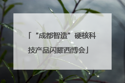 “成都智造”硬核科技产品闪耀西博会