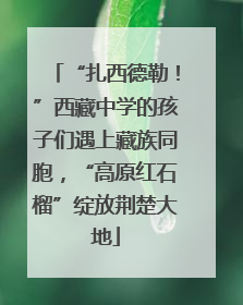 “扎西德勒！”西藏中学的孩子们遇上藏族同胞，“高原红石榴”绽放荆楚大地