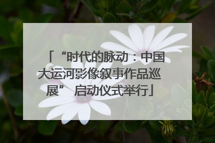 “时代的脉动：中国大运河影像叙事作品巡展” 启动仪式举行