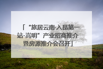 “旅居云南·入昆第一站-嵩明”产业招商推介暨房源推介会召开