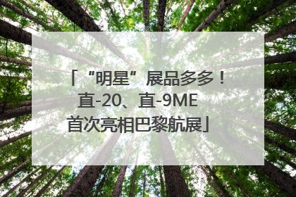 “明星”展品多多！直-20、直-9ME首次亮相巴黎航展
