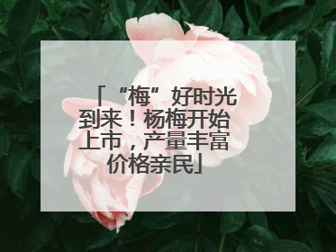 “梅”好时光到来！杨梅开始上市，产量丰富价格亲民