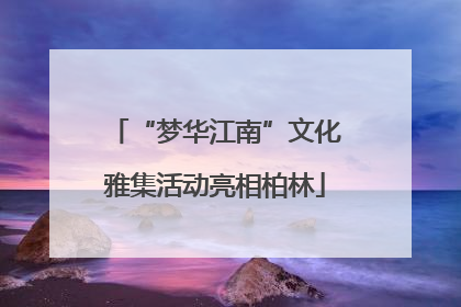 “梦华江南”文化雅集活动亮相柏林