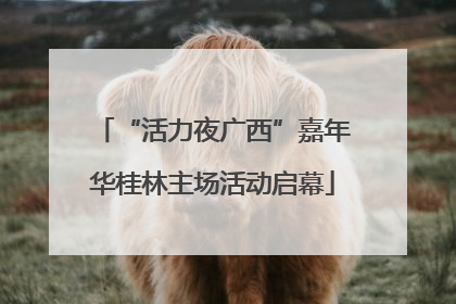 “活力夜广西”嘉年华桂林主场活动启幕