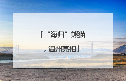 “海归”熊猫，温州亮相