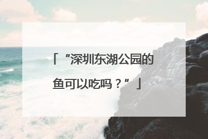 “深圳东湖公园的鱼可以吃吗？”