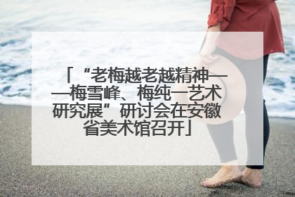 “老梅越老越精神——梅雪峰、梅纯一艺术研究展”研讨会在安徽省美术馆召开
